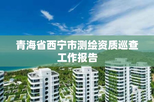 青海省西寧市測繪資質巡查工作報告