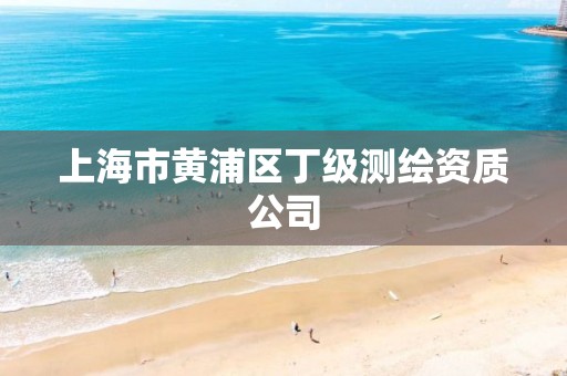 上海市黃浦區(qū)丁級測繪資質(zhì)公司