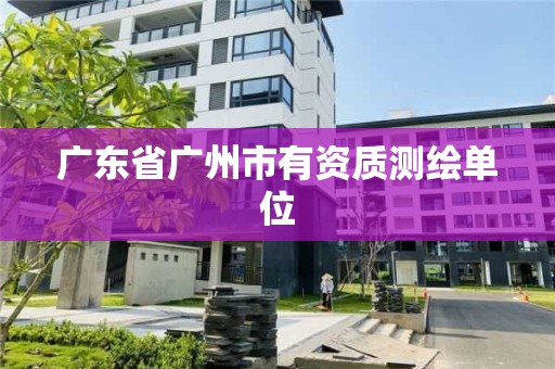 廣東省廣州市有資質測繪單位