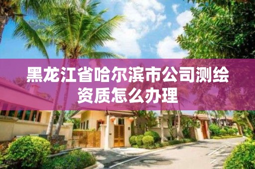 黑龍江省哈爾濱市公司測(cè)繪資質(zhì)怎么辦理