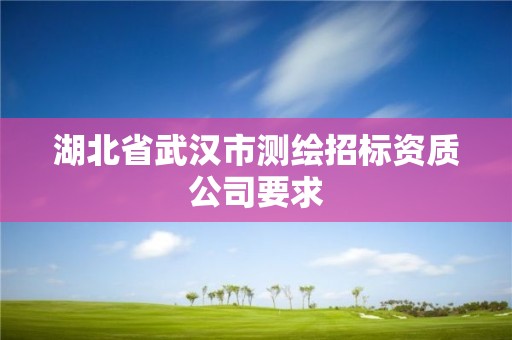 湖北省武漢市測繪招標資質公司要求