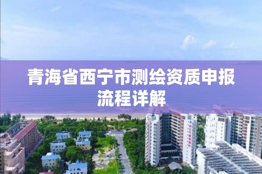 青海省西寧市測繪資質申報流程詳解