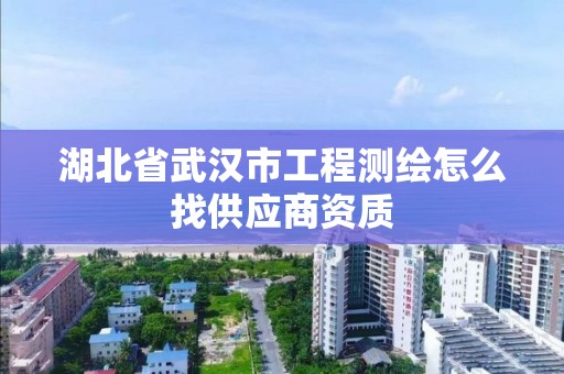 湖北省武漢市工程測(cè)繪怎么找供應(yīng)商資質(zhì)