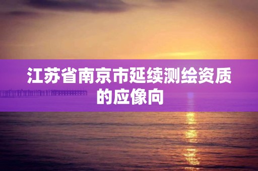 江蘇省南京市延續測繪資質的應像向