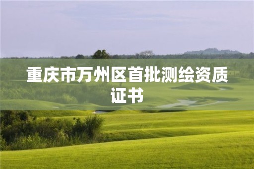 重慶市萬州區(qū)首批測繪資質(zhì)證書