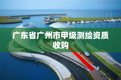 廣東省廣州市甲級測繪資質收購