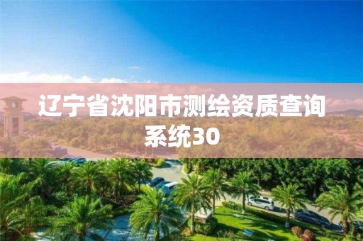 遼寧省沈陽市測繪資質查詢系統30