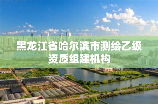 黑龍江省哈爾濱市測繪乙級資質組建機構