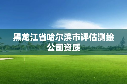 黑龍江省哈爾濱市評(píng)估測(cè)繪公司資質(zhì)