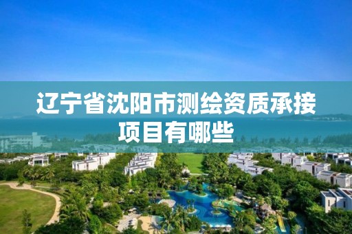 遼寧省沈陽市測繪資質承接項目有哪些