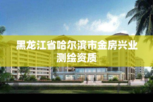 黑龍江省哈爾濱市金房興業測繪資質