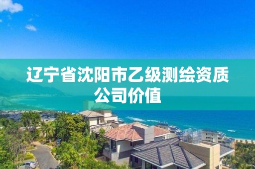 遼寧省沈陽市乙級測繪資質公司價值