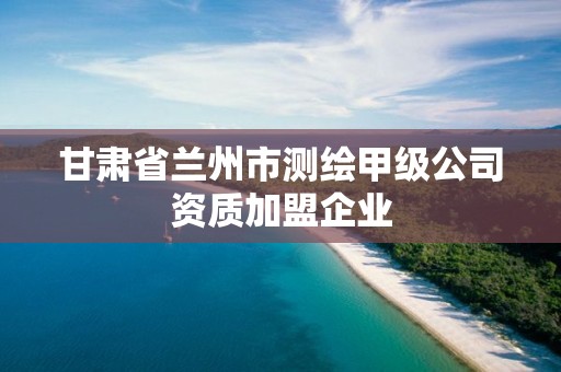 甘肅省蘭州市測繪甲級公司資質(zhì)加盟企業(yè)