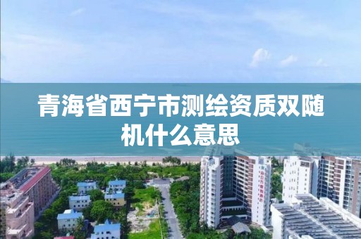 青海省西寧市測繪資質雙隨機什么意思