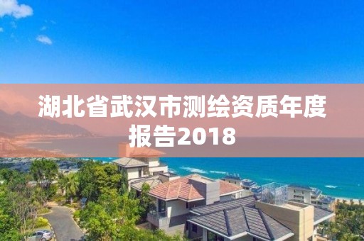 湖北省武漢市測繪資質年度報告2018