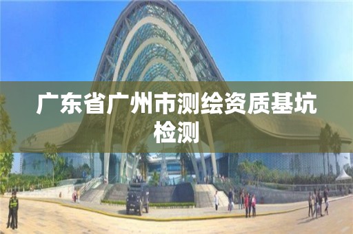 廣東省廣州市測繪資質(zhì)基坑檢測