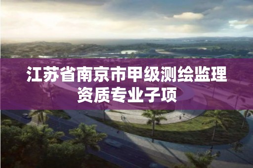 江蘇省南京市甲級測繪監理資質專業子項