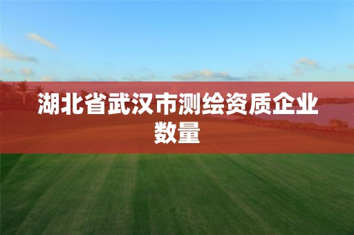 湖北省武漢市測繪資質企業數量