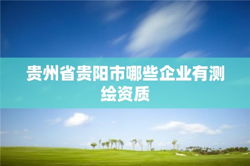 貴州省貴陽市哪些企業有測繪資質