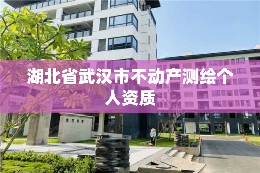 湖北省武漢市不動產(chǎn)測繪個人資質(zhì)