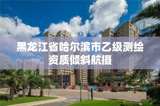 黑龍江省哈爾濱市乙級(jí)測繪資質(zhì)傾斜航攝