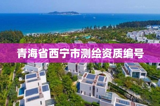 青海省西寧市測繪資質編號