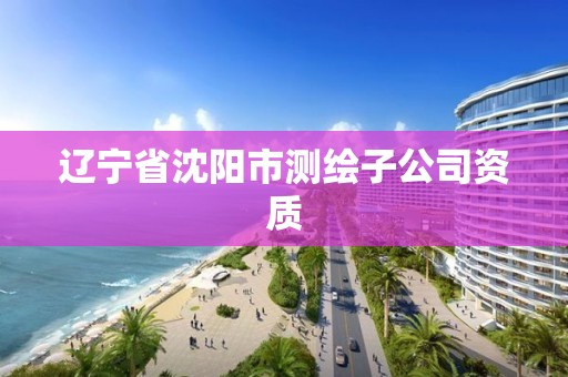 遼寧省沈陽市測繪子公司資質