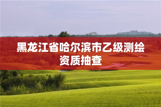 黑龍江省哈爾濱市乙級測繪資質(zhì)抽查