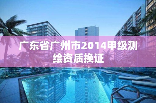 廣東省廣州市2014甲級測繪資質換證