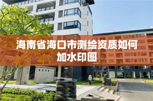 海南省海口市測繪資質如何加水印圖