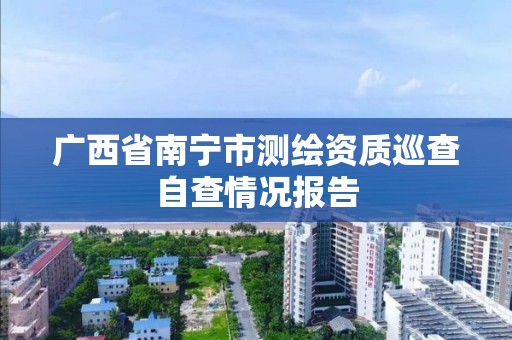 廣西省南寧市測繪資質巡查自查情況報告