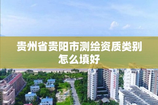 貴州省貴陽市測繪資質類別怎么填好