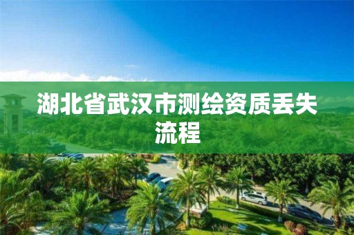 湖北省武漢市測繪資質(zhì)丟失流程