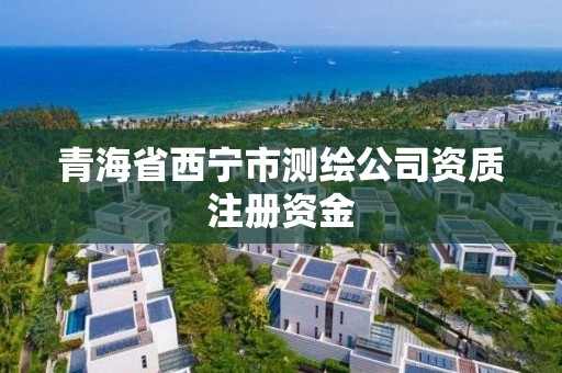 青海省西寧市測繪公司資質注冊資金