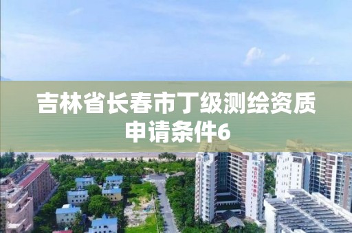 吉林省長春市丁級測繪資質申請條件6