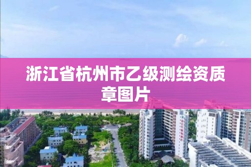 浙江省杭州市乙級測繪資質章圖片