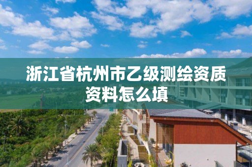 浙江省杭州市乙級測繪資質資料怎么填