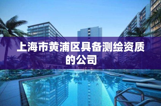 上海市黃浦區具備測繪資質的公司