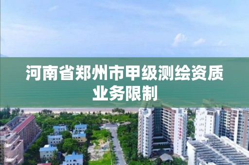 河南省鄭州市甲級測繪資質業務限制