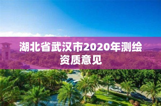 湖北省武漢市2020年測繪資質意見