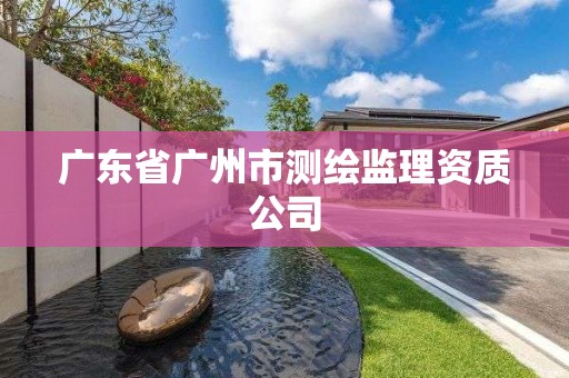 廣東省廣州市測繪監(jiān)理資質(zhì)公司