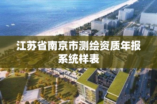 江蘇省南京市測繪資質年報系統樣表