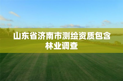 山東省濟南市測繪資質(zhì)包含林業(yè)調(diào)查