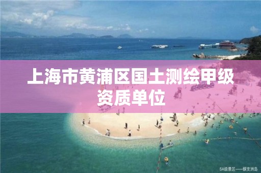 上海市黃浦區(qū)國土測繪甲級資質(zhì)單位