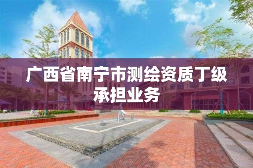 廣西省南寧市測繪資質丁級承擔業務