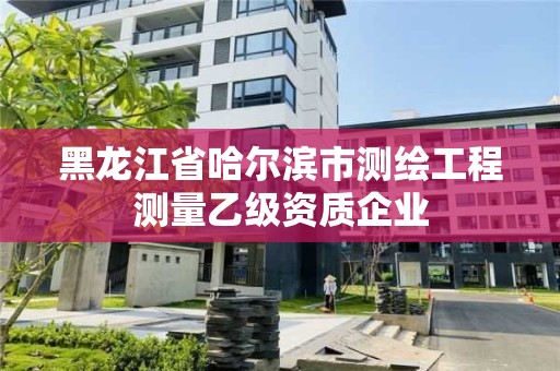 黑龍江省哈爾濱市測繪工程測量乙級資質企業