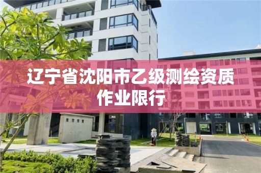 遼寧省沈陽市乙級測繪資質作業限行