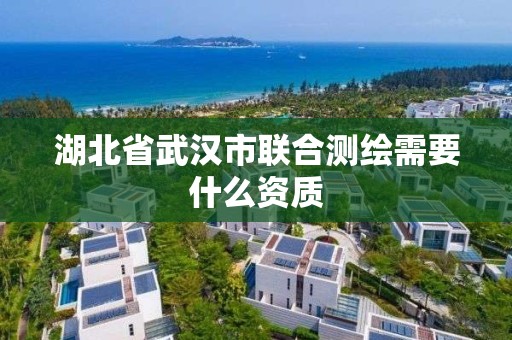 湖北省武漢市聯合測繪需要什么資質