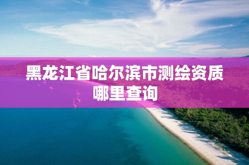 黑龍江省哈爾濱市測(cè)繪資質(zhì)哪里查詢