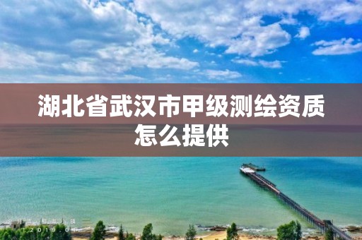 湖北省武漢市甲級測繪資質怎么提供